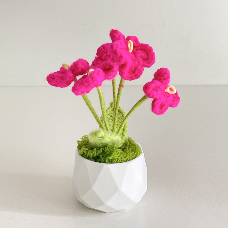 Handcrafted Crochet Flower Planter A15