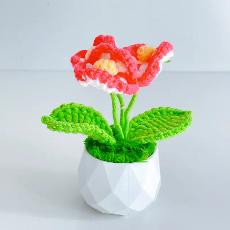 Handcrafted Crochet Flower Planter A19