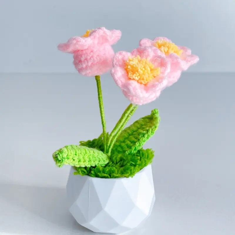 Handcrafted Crochet Flower Planter A22
