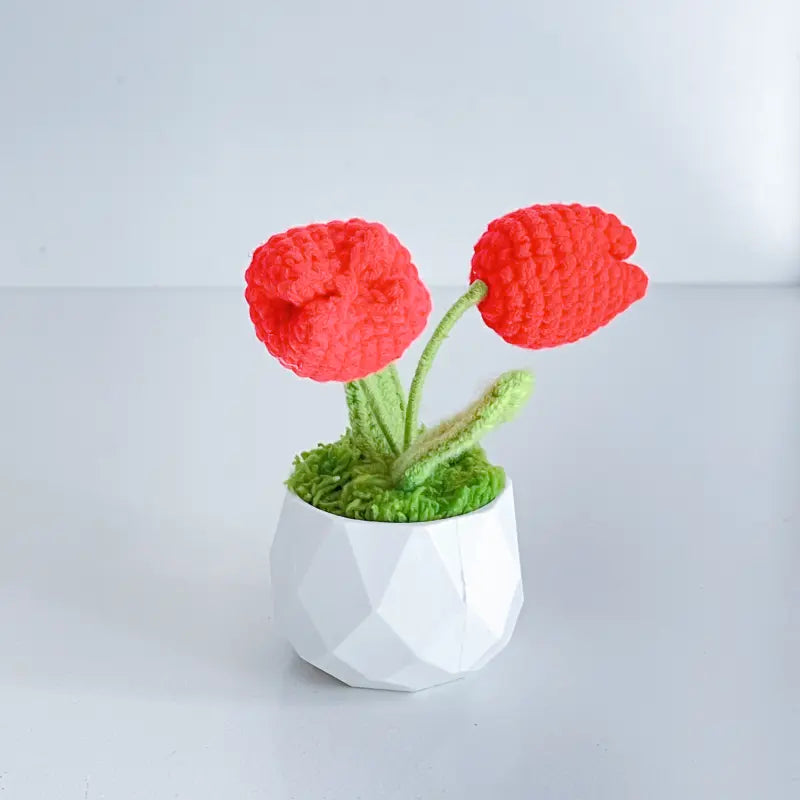 Handcrafted Crochet Flower Planter A18
