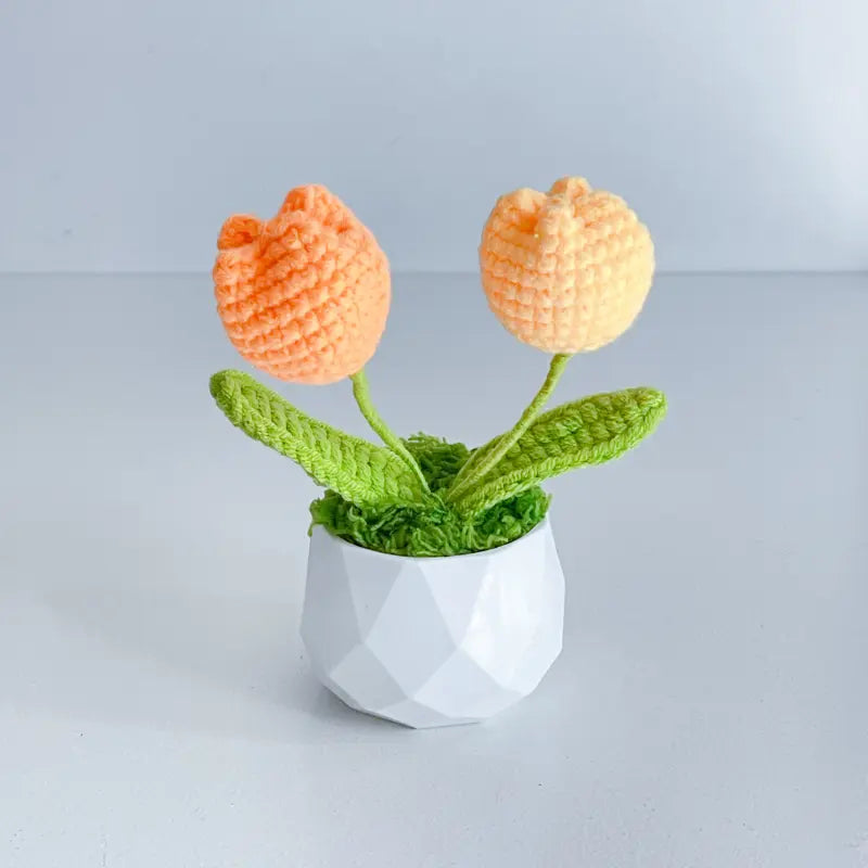Handcrafted Crochet Flower Planter A18