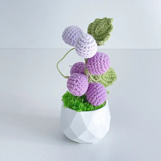 Handcrafted Crochet Flower Planter A23