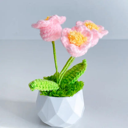 Handcrafted Crochet Flower Planter A22
