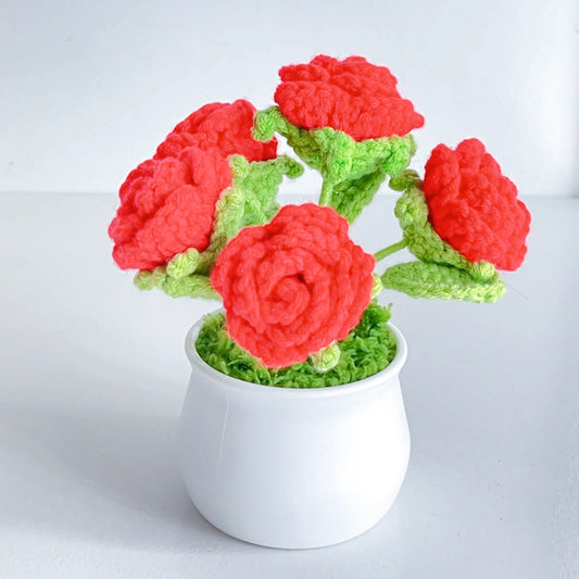 Handcrafted Crochet Flower Planter A32