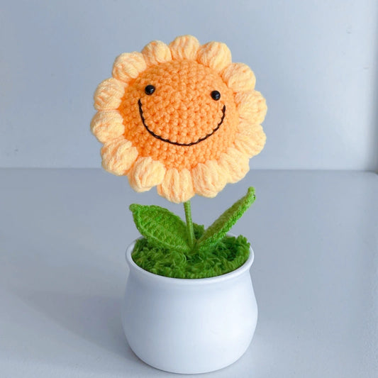 Handcrafted Crochet Flower Planter A31