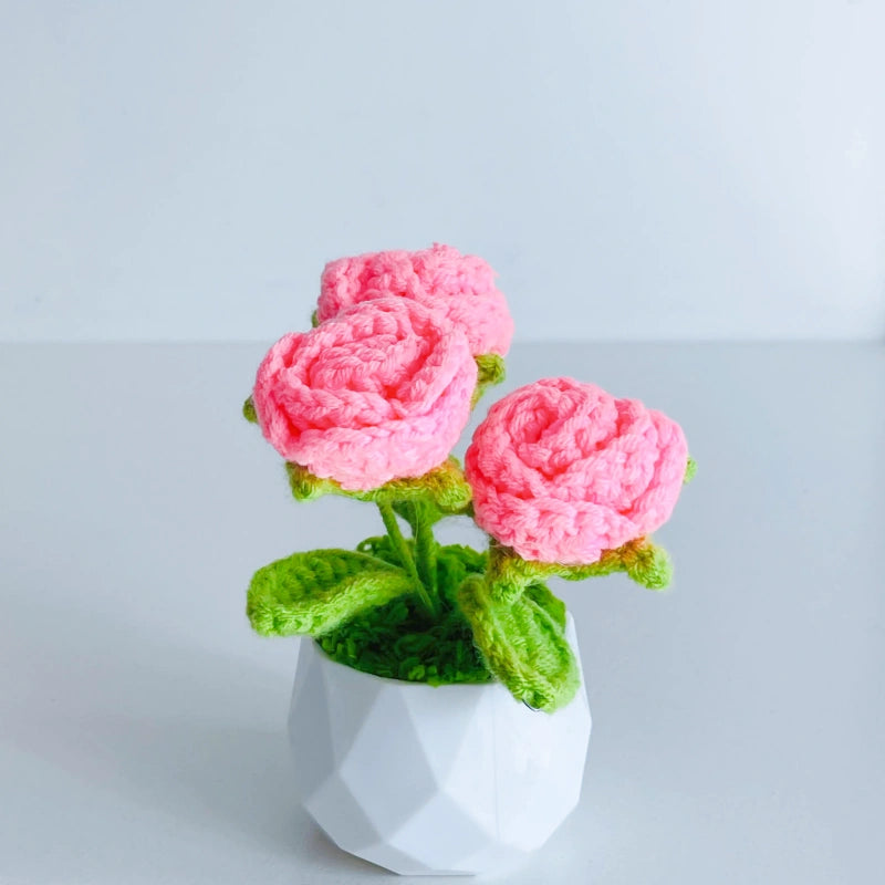 Handcrafted Crochet Flower Planter A29