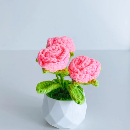 Handcrafted Crochet Flower Planter A29