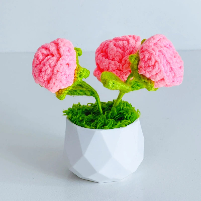 Handcrafted Crochet Flower Planter A29