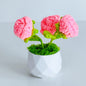 Handcrafted Crochet Flower Planter A29