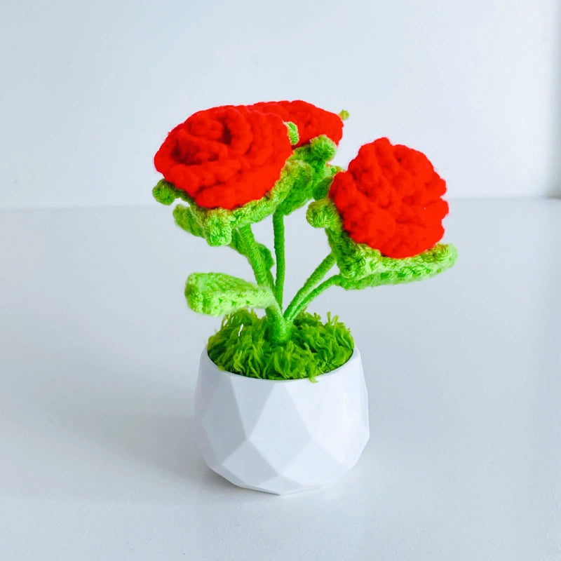 Handcrafted Crochet Flower Planter A29