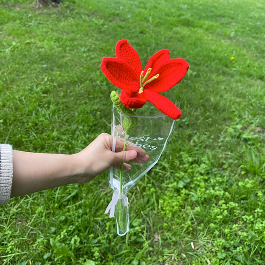 Handcrafted Crochet Flower Bouquet B12